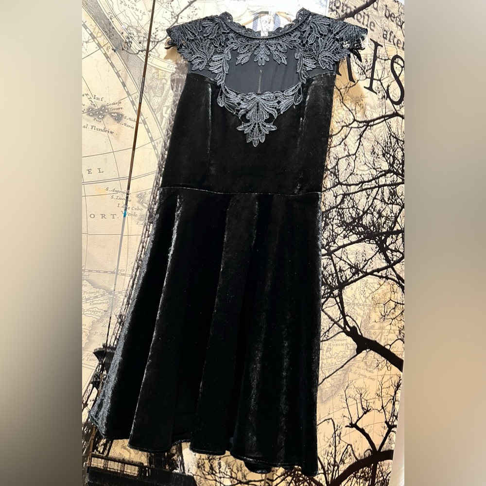 EUC Oasis Victorian velvet lace a-line midi dress from Oasis UK gothic vibe